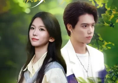 野心家（65集）尤洋海报