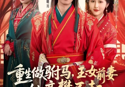 重生做驸马，玉女前妻她高攀不起（79集）玖月&尚雨茜&可为海报