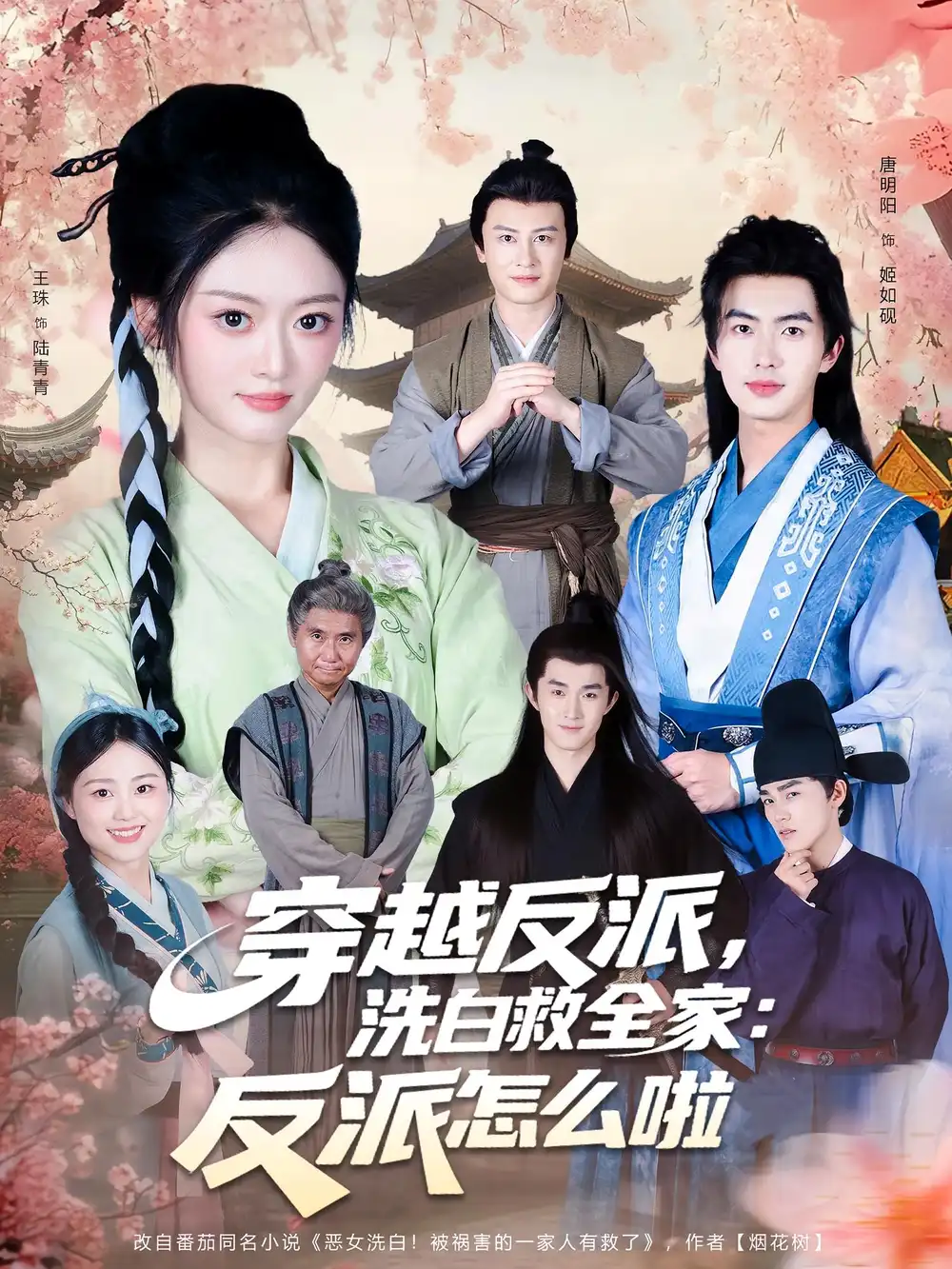 穿越反派，洗白救全家：反派怎么啦（65集）海报