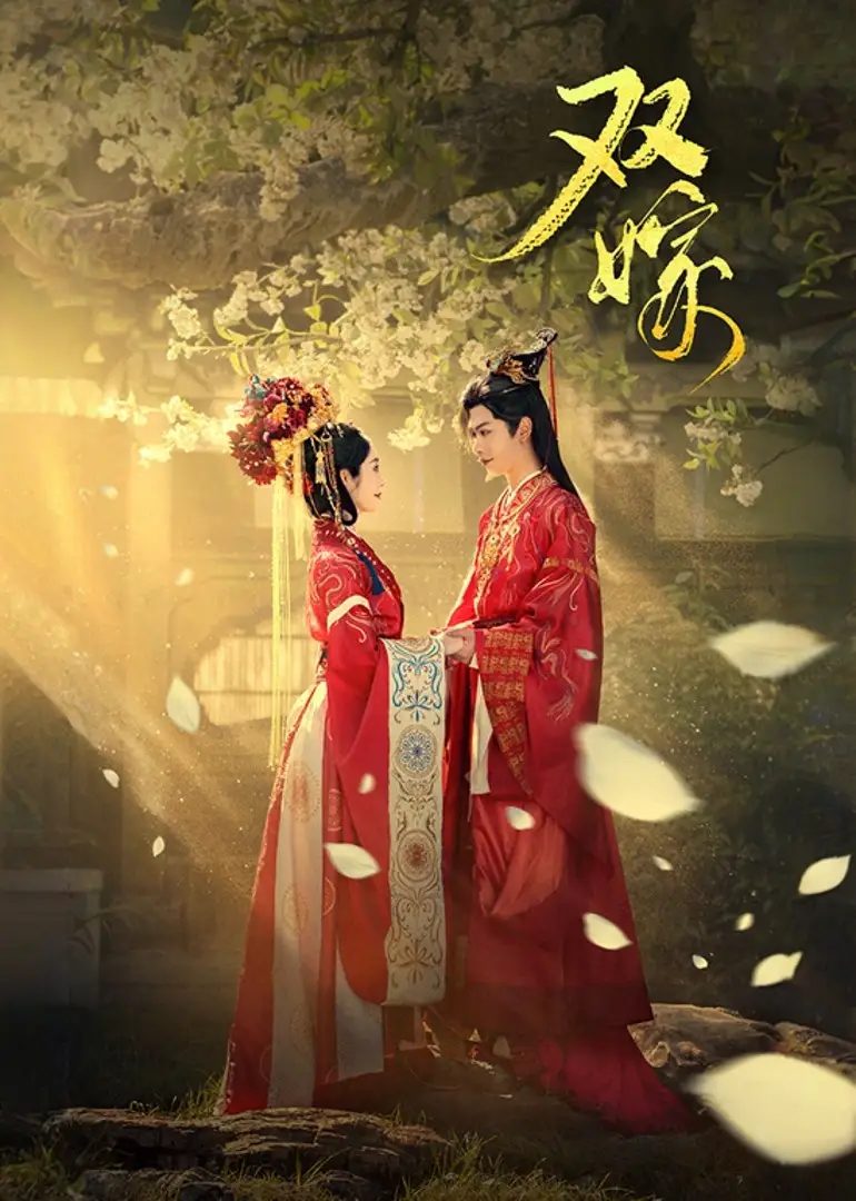 双嫁（60集）戴琪轩&张正越海报