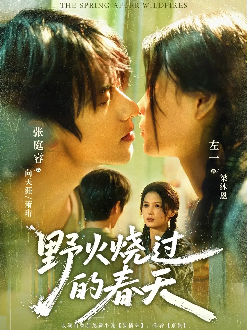 短剧《野火烧过的春天》完整剧情全集免费在线观看