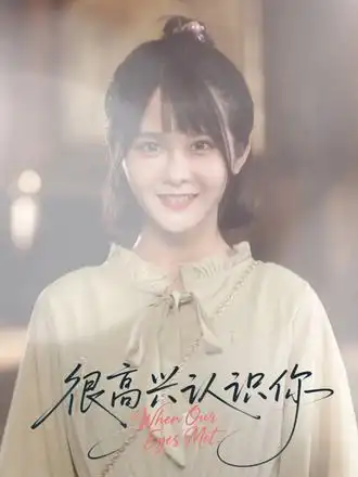 很高兴认识你（16集）海报