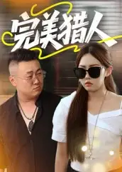 完美猎人（30集）海报