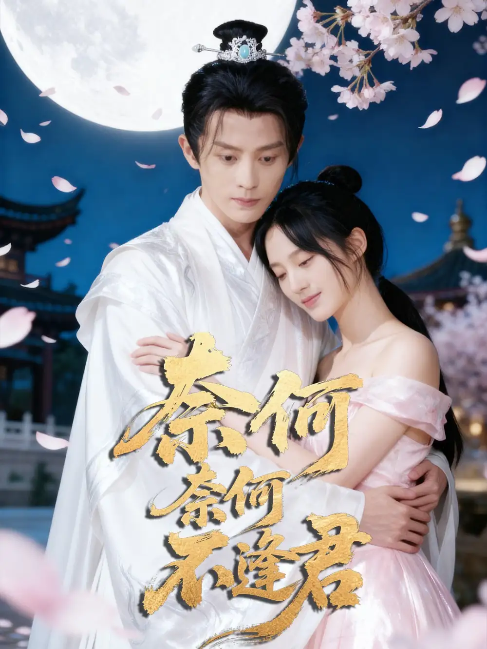 奈何奈何不逢君(57集)骆诗琪&刘润铭高清海报图片 奈何奈何不逢君(57集)骆诗琪&刘润铭海报