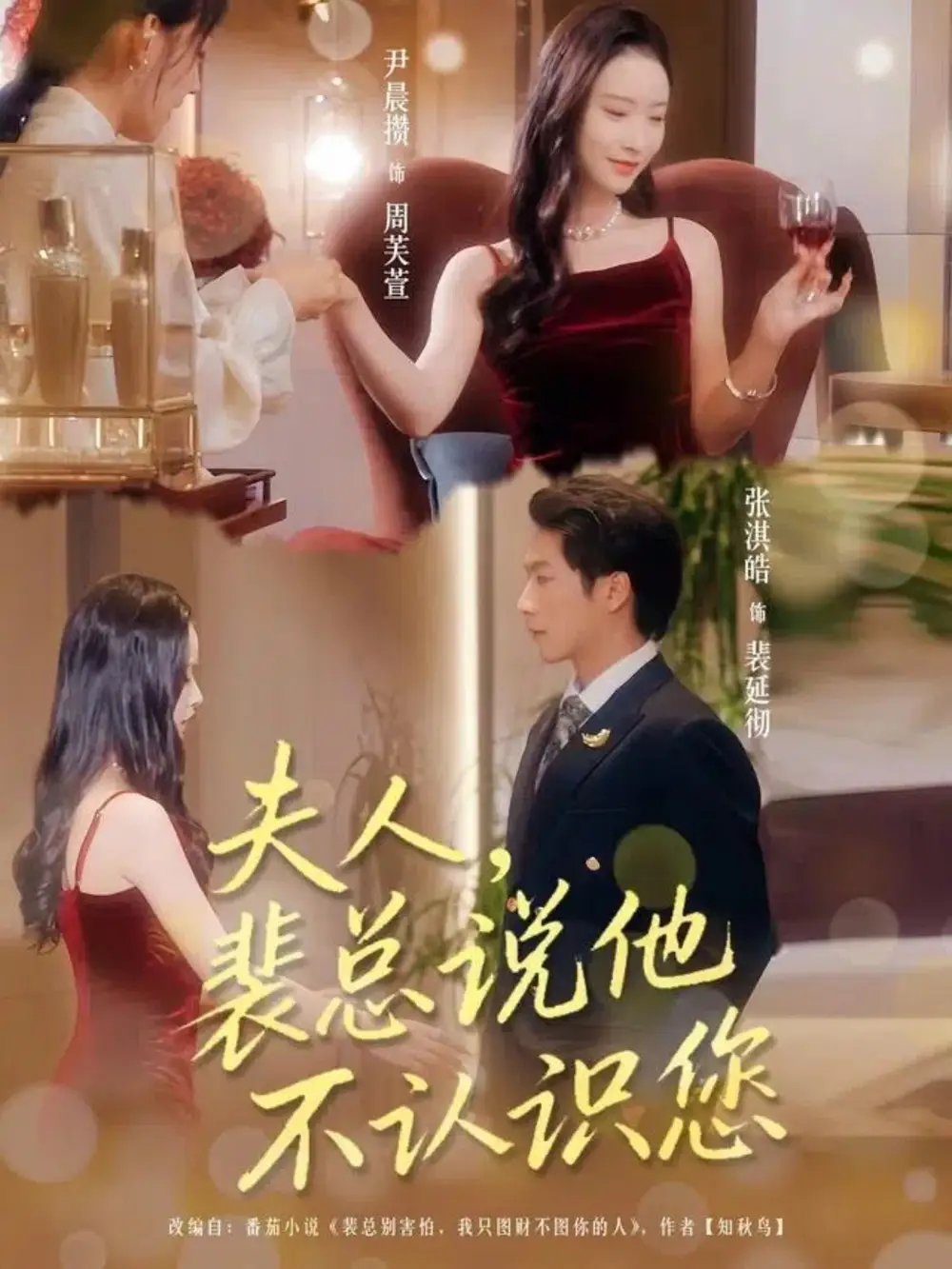 夫人裴总说他不认识您（75集）张淇皓&尹晨攒海报