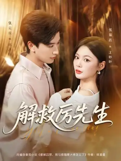 解救厉先生(84集)张云庆&张瑞恩高清海报图片 解救厉先生(84集)张云庆&张瑞恩海报