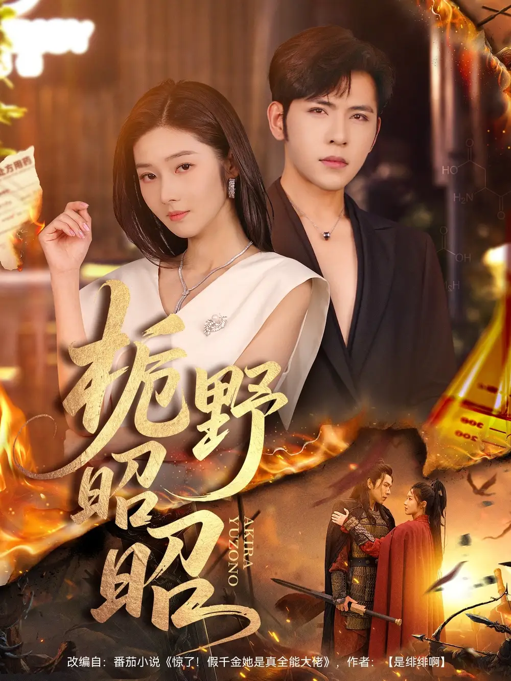 短剧《栀野昭昭》完整剧情全集免费在线观看