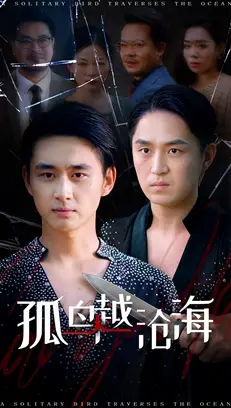 短剧《孤鸟越沧海》完整剧情全集免费在线观看