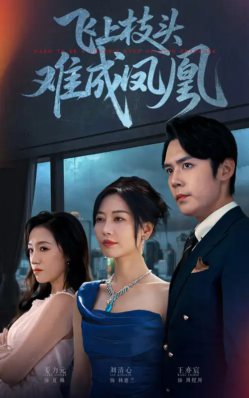 短剧《飞上枝头难成凤凰》完整剧情全集免费在线观看