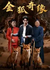 短剧《金狐奇缘》完整剧情全集免费在线观看