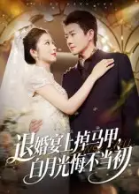 退婚宴上掉马甲,白月光悔不当初(74集)肖琳&李玺鹏高清海报图片 退婚宴上掉马甲,白月光悔不当初(74集)肖琳&李玺鹏海报