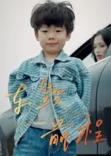 车毁前程（30集）罗淼淼&张文慧海报