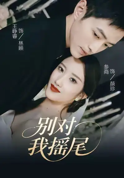 短剧《别对我摇尾》完整剧情全集免费在线观看