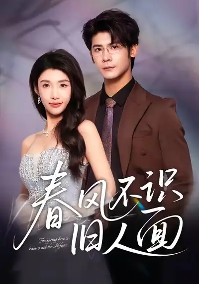 短剧《春风不识旧人面》完整剧情全集免费在线观看