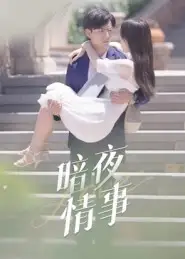 短剧《暗夜情事》完整剧情全集免费在线观看