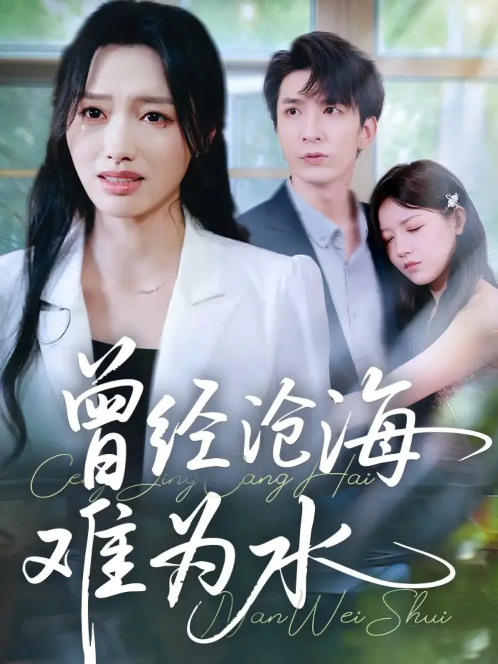 短剧《曾经沧海难为水》完整剧情全集免费在线观看