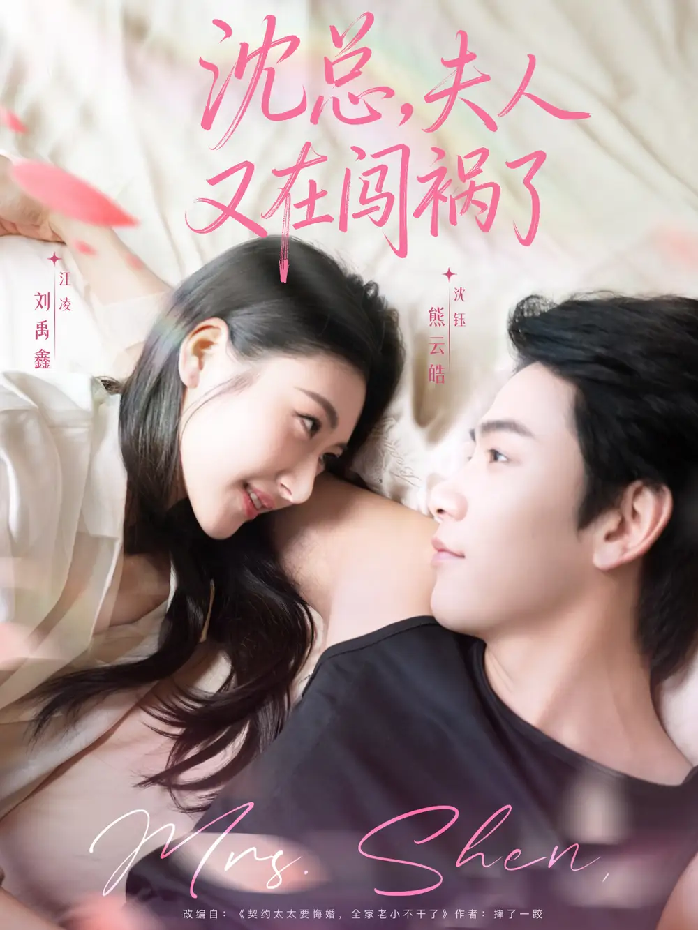 沈总,夫人又在闯祸了(79集)熊云皓&刘禹鑫高清海报图片 沈总,夫人又在闯祸了(79集)熊云皓&刘禹鑫海报