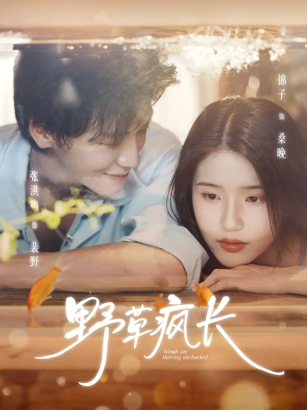 短剧《野草疯长》完整剧情全集免费在线观看