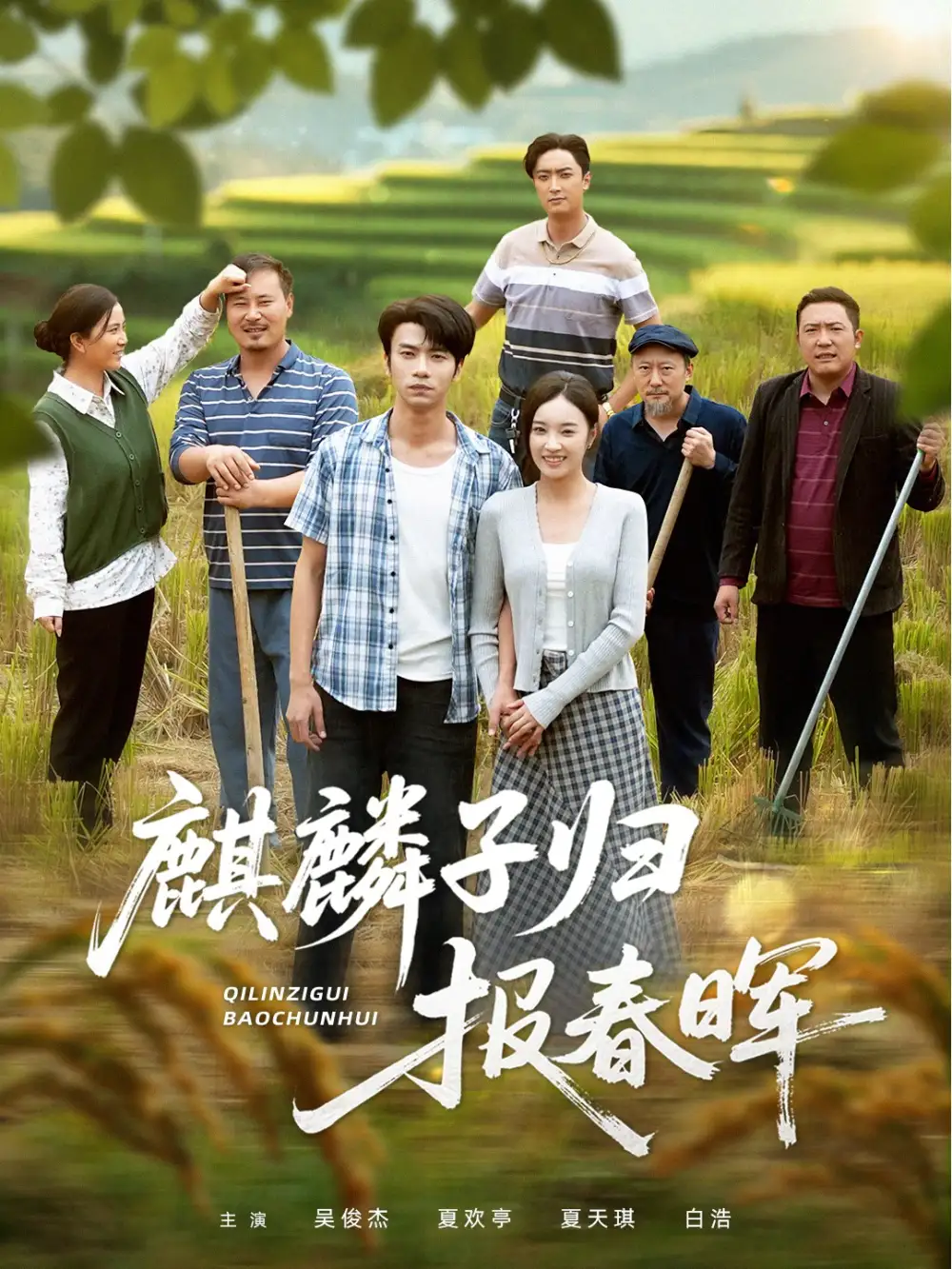 短剧《麒麟子归报春晖》完整剧情全集免费在线观看