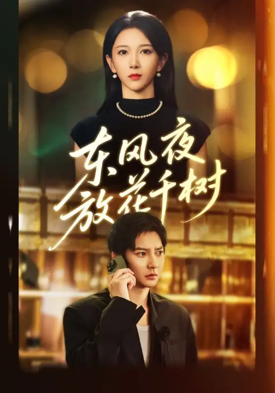 东风夜放花千树&＆燕西误尽瑶台月（91集）白羽&高明君海报