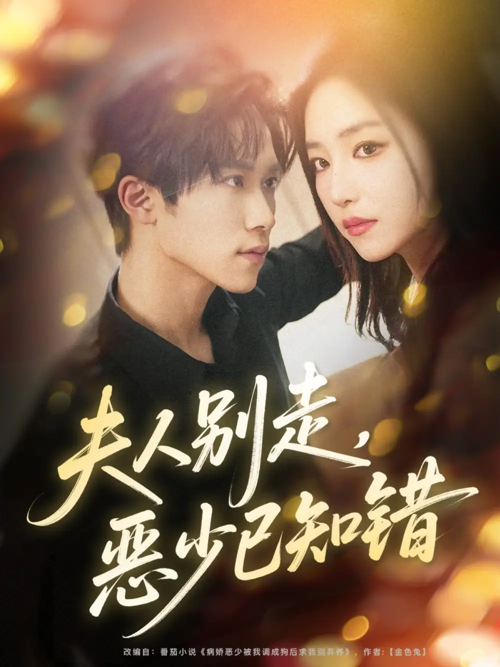 短剧《夫人别走恶少已知错》完整剧情全集免费在线观看