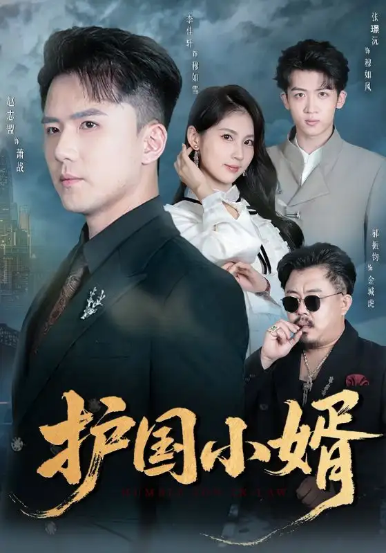 护国小婿（60集）李佳轩&赵志盟海报